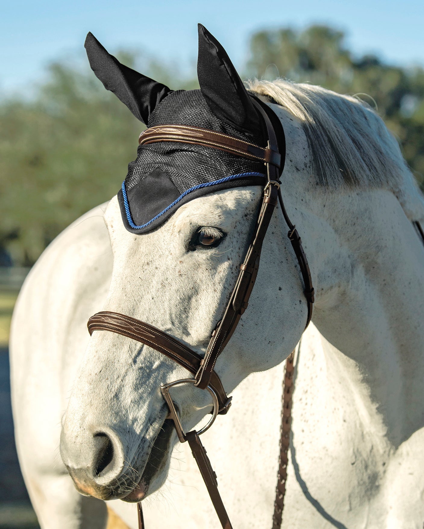 Rider’s International Lightweight Mesh Ear Bonnet