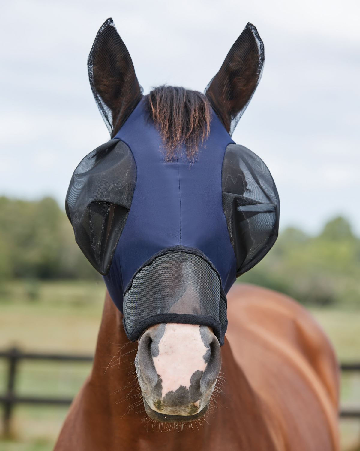 WeatherBeeta ComFiTec Luxe Bug Eye Saver with Ears & Nose