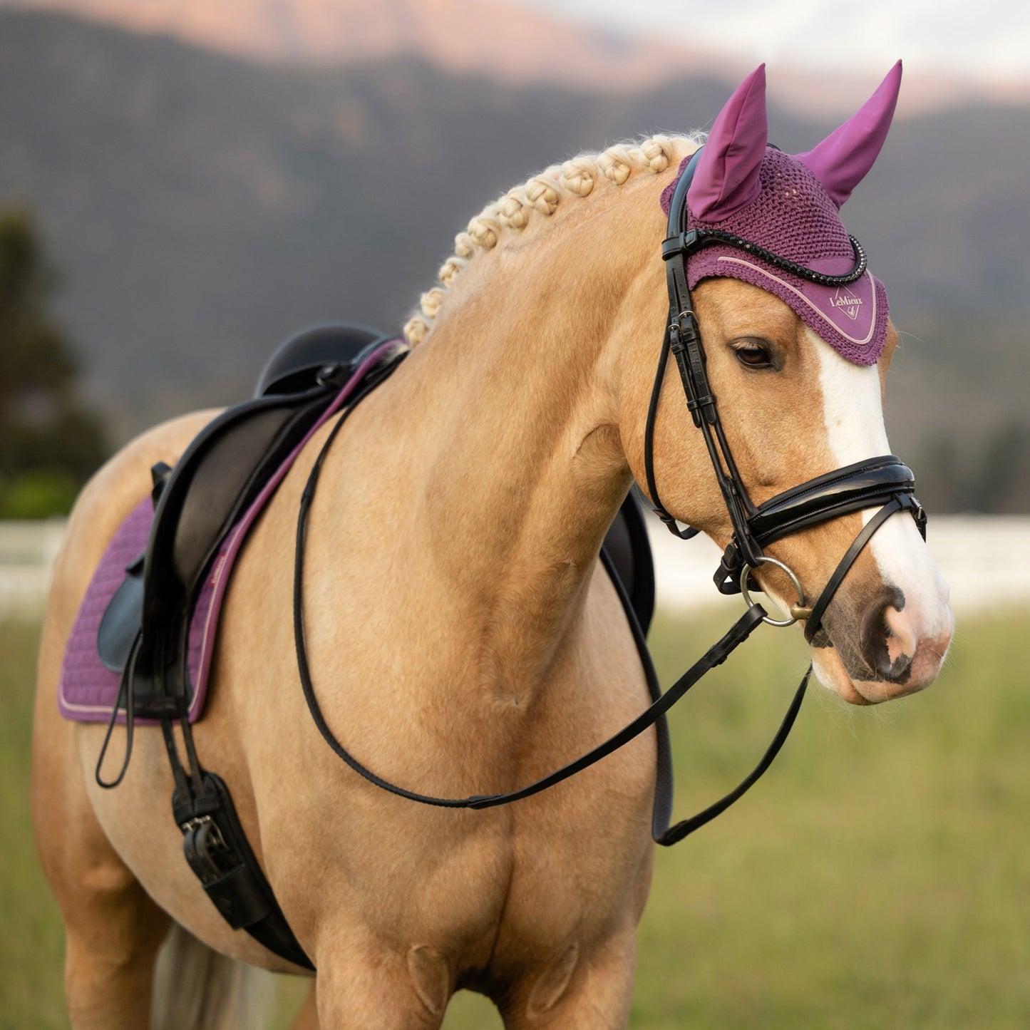LeMieux Classic Fly Hood