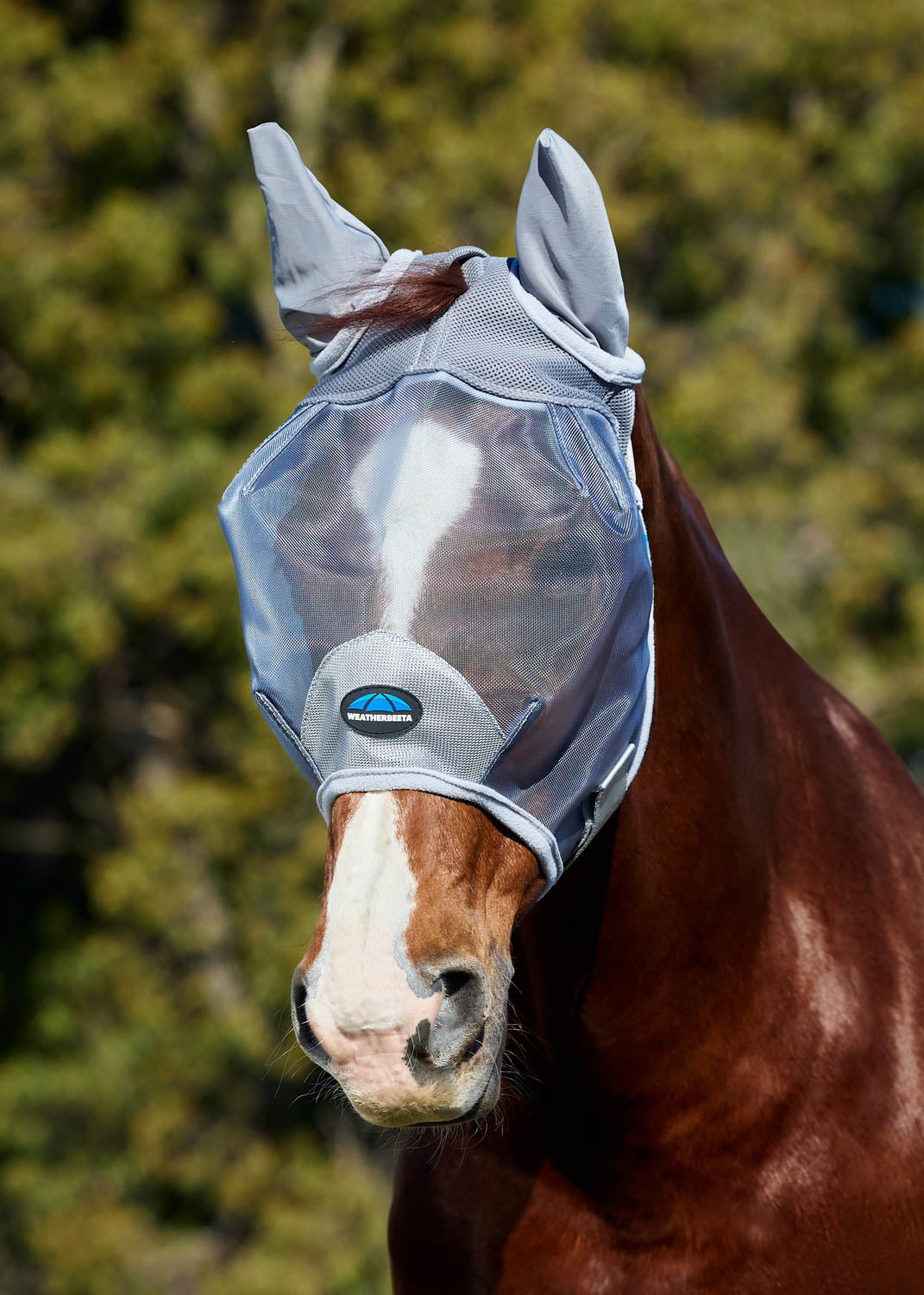WeatherBeeta ComFiTec Durable Mesh Fly Mask