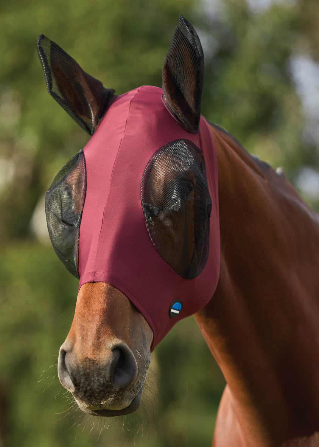 Weatherbeeta Comfitec Deluxe Stretch  Fly Mask