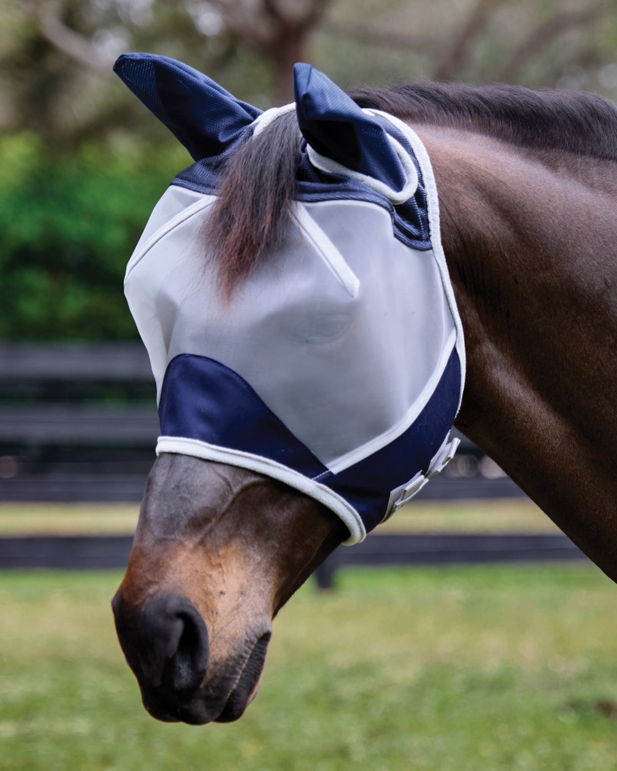 Rider's International Fine Mesh Fly Mask with Ears