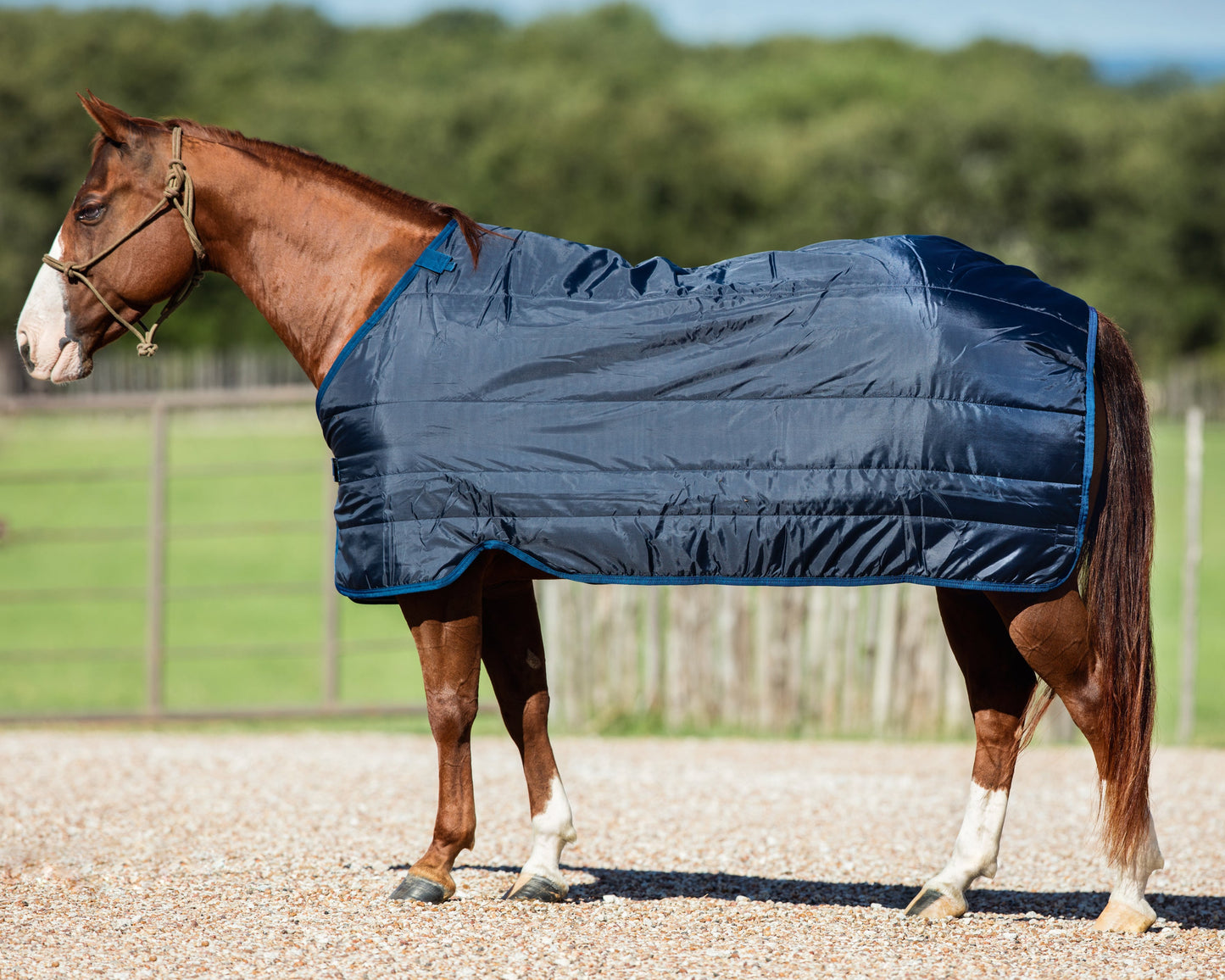 Horseware Ireland 200 Gram Blanket Liner