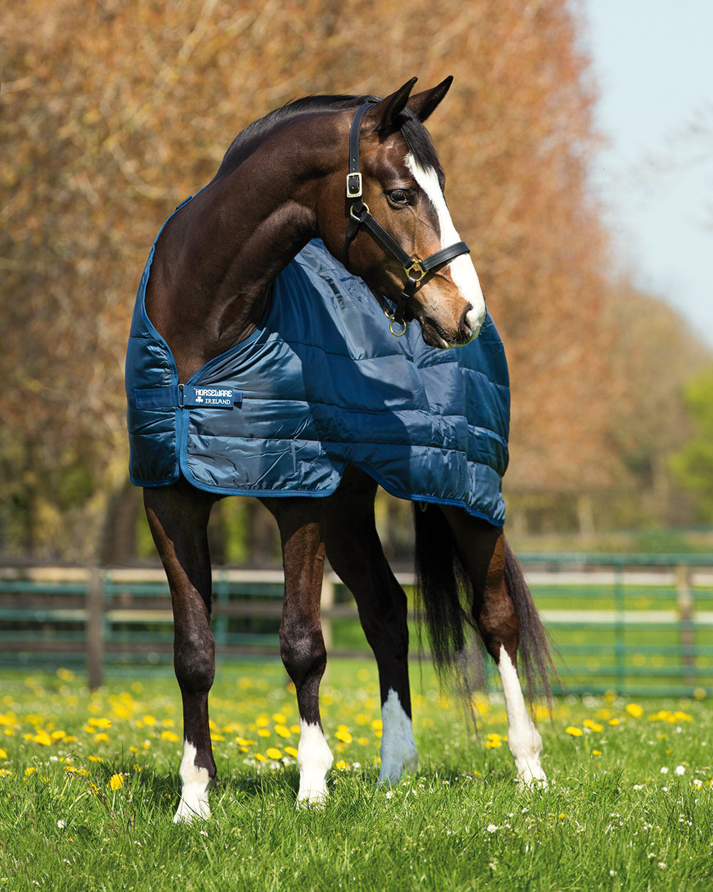 Horseware Ireland 300 Gram Blanket Liner