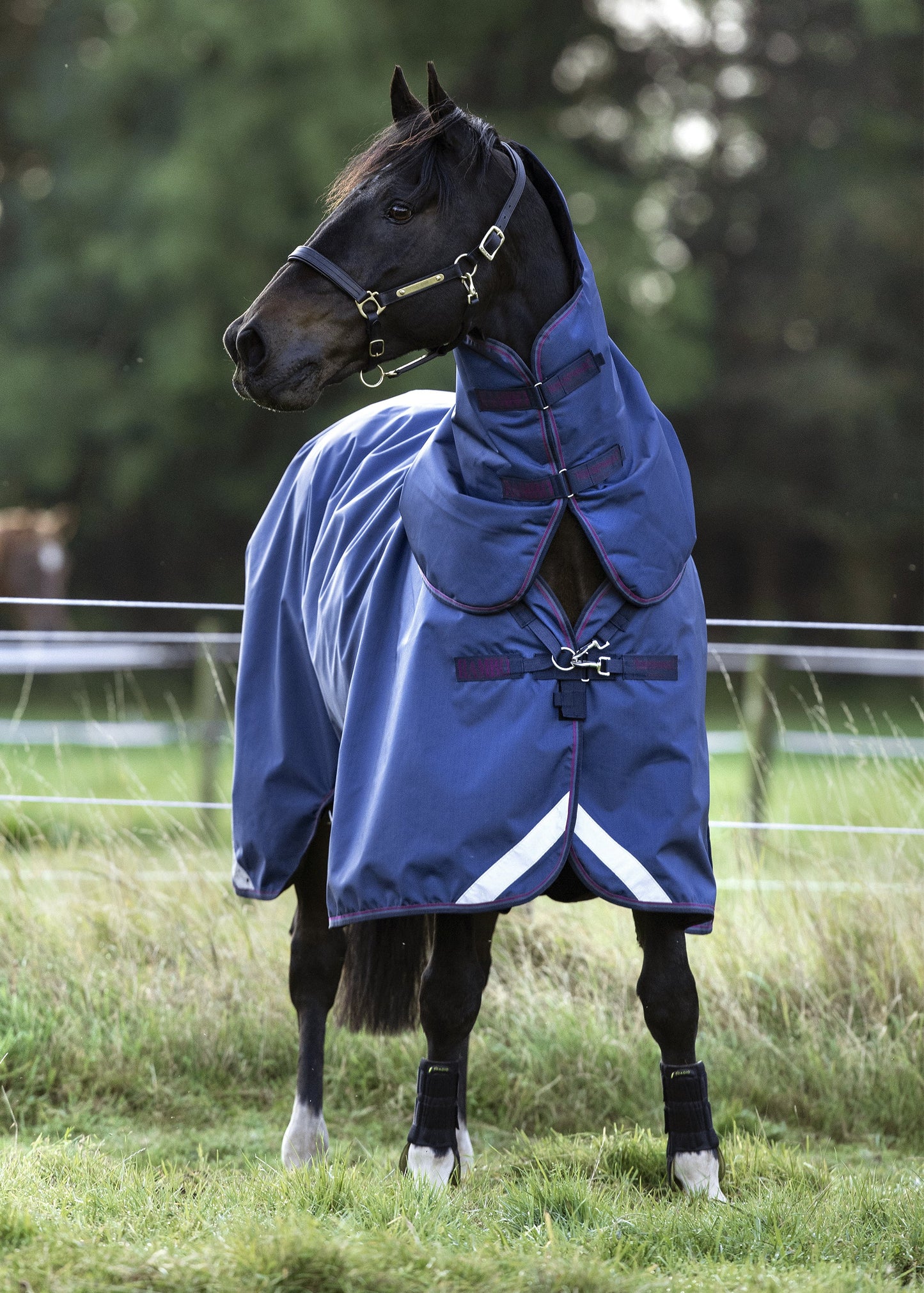 Horseware Ireland Rambo Optimo Turnout Blanket