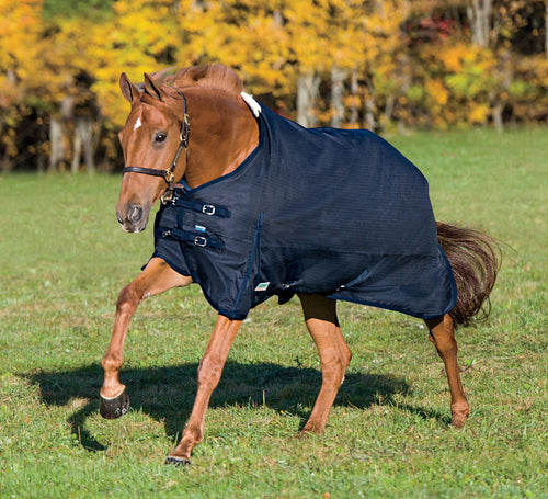 Rider’s International Supreme Turnout Sheet