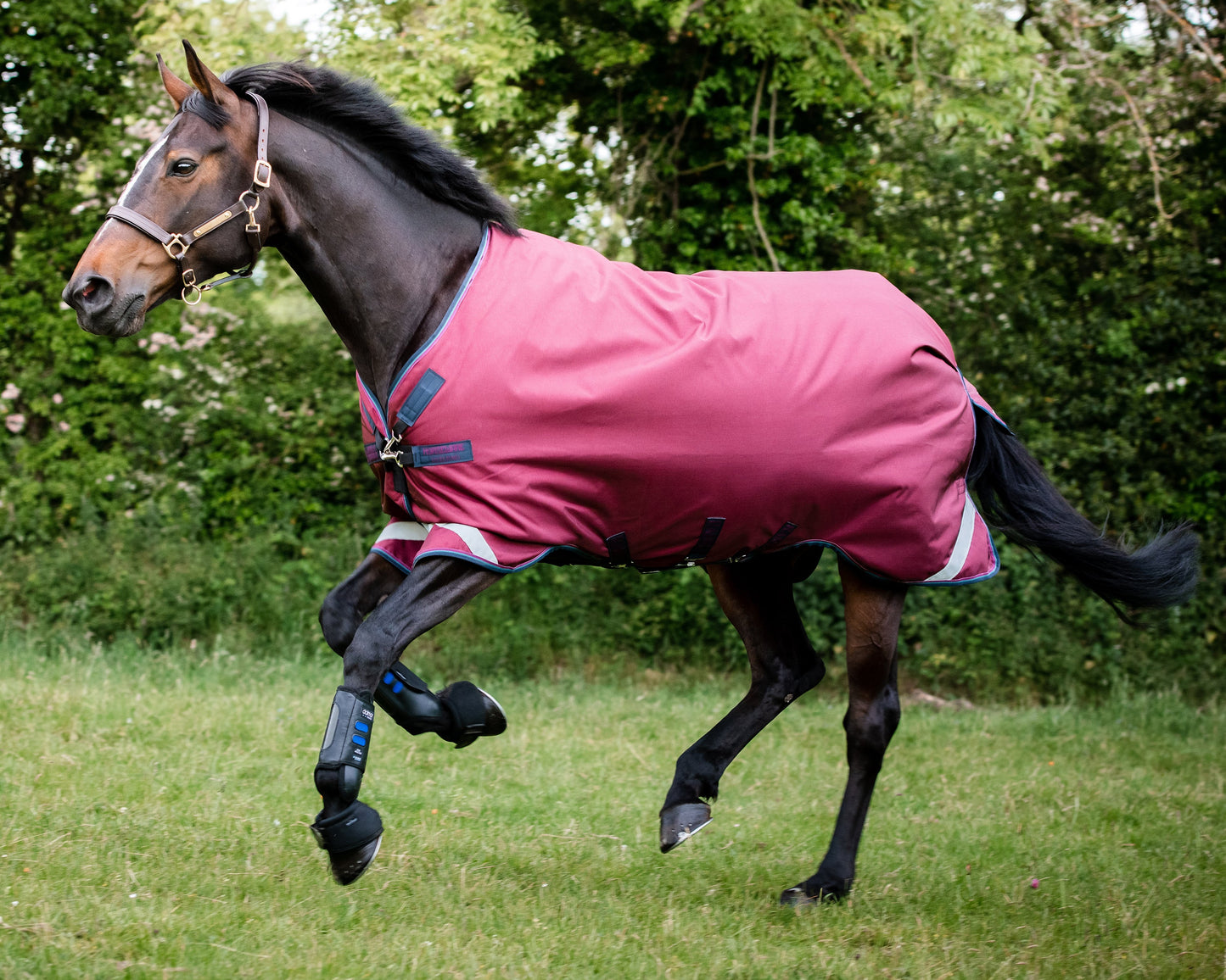 Horseware Ireland Rambo Original Lite with Leg Arches Turnout Sheet