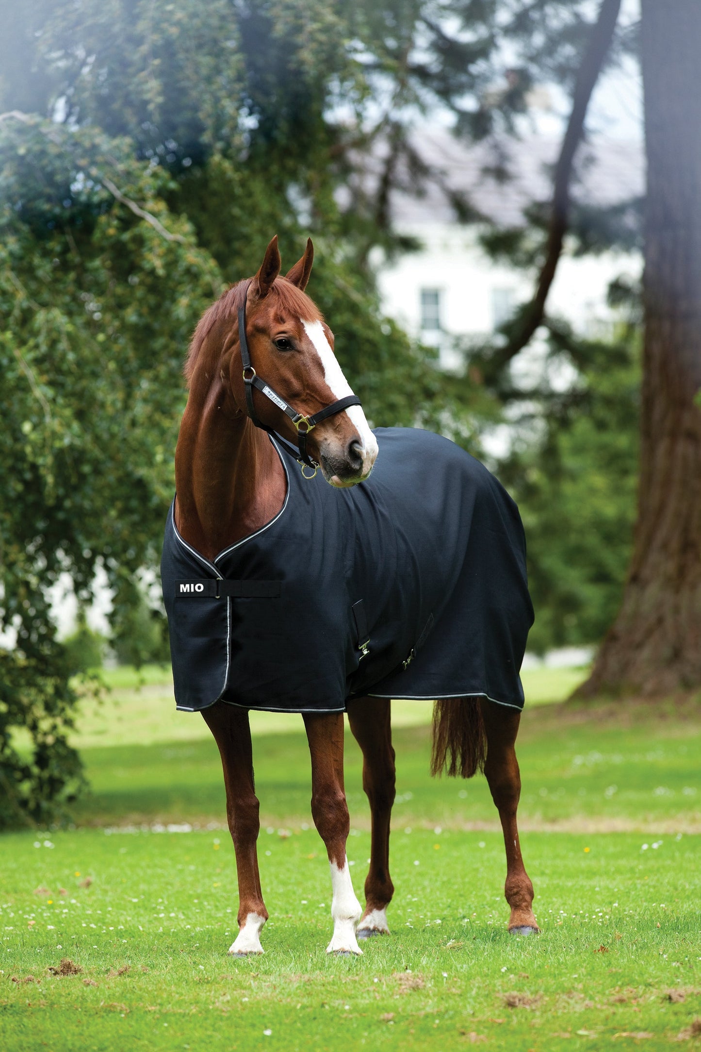 Horseware Ireland Mio Fleece Sheet