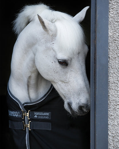 Horseware Ireland Rambo Stable Sheet