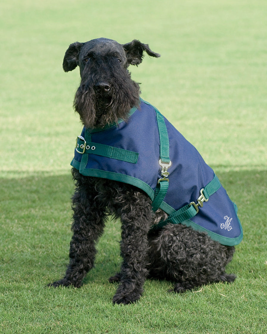 Rider’s International Dog Turnout Sheet