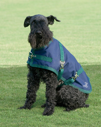 Rider’s International Dog Turnout Sheet