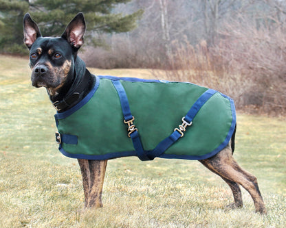 Rider’s International Dog Turnout Sheet