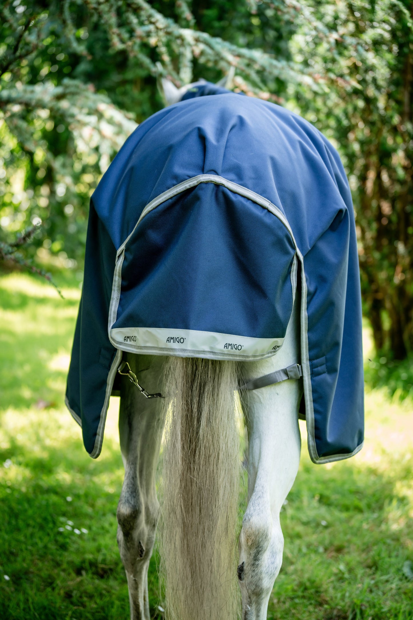 Amigo Bravo 12 Semi-Lite Weight Turnout Blanket