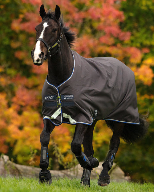Amigo Bravo 12 Semi-Lite Weight Turnout Blanket
