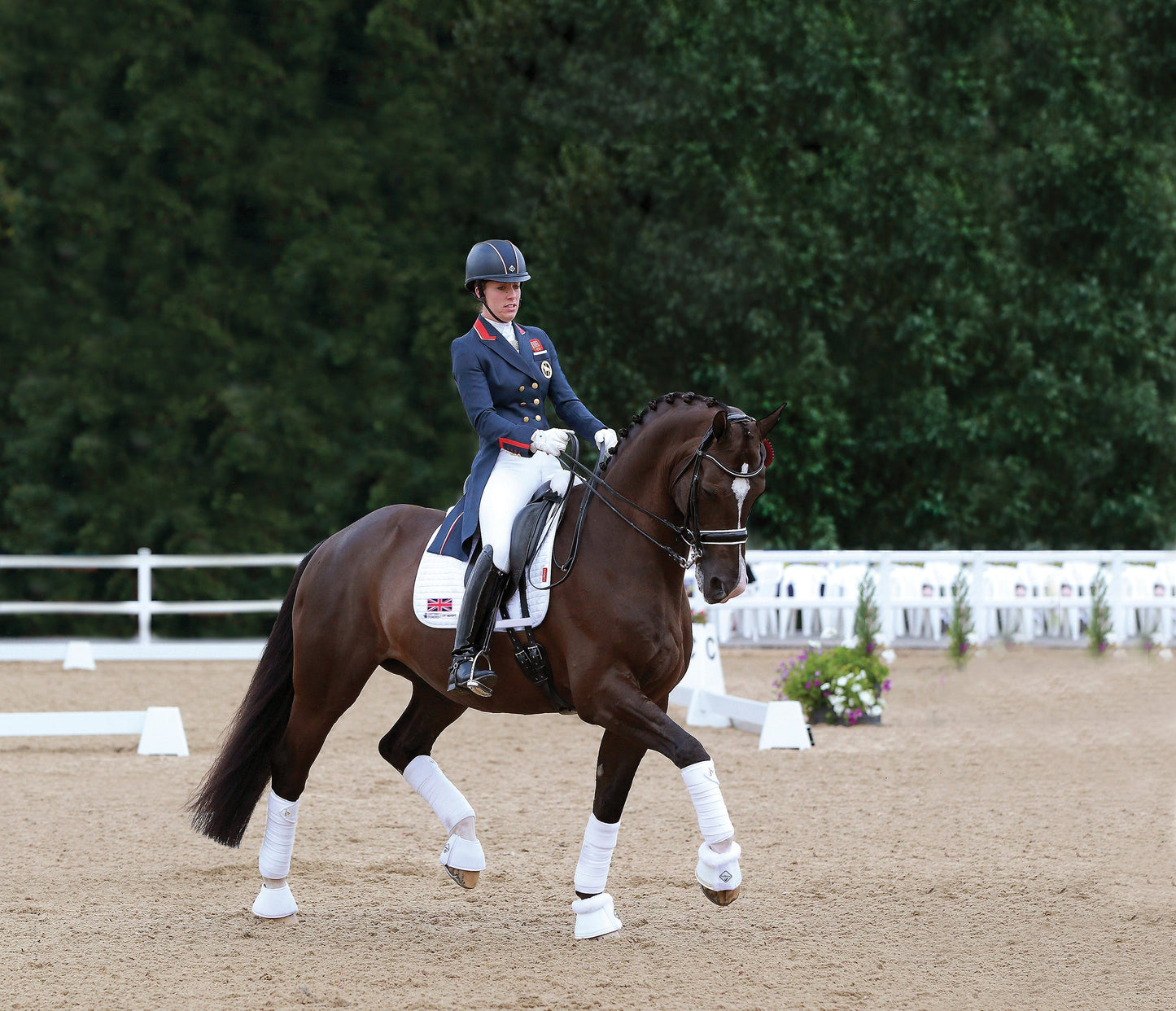 LeMieux Luxury Fleece Polo Wraps