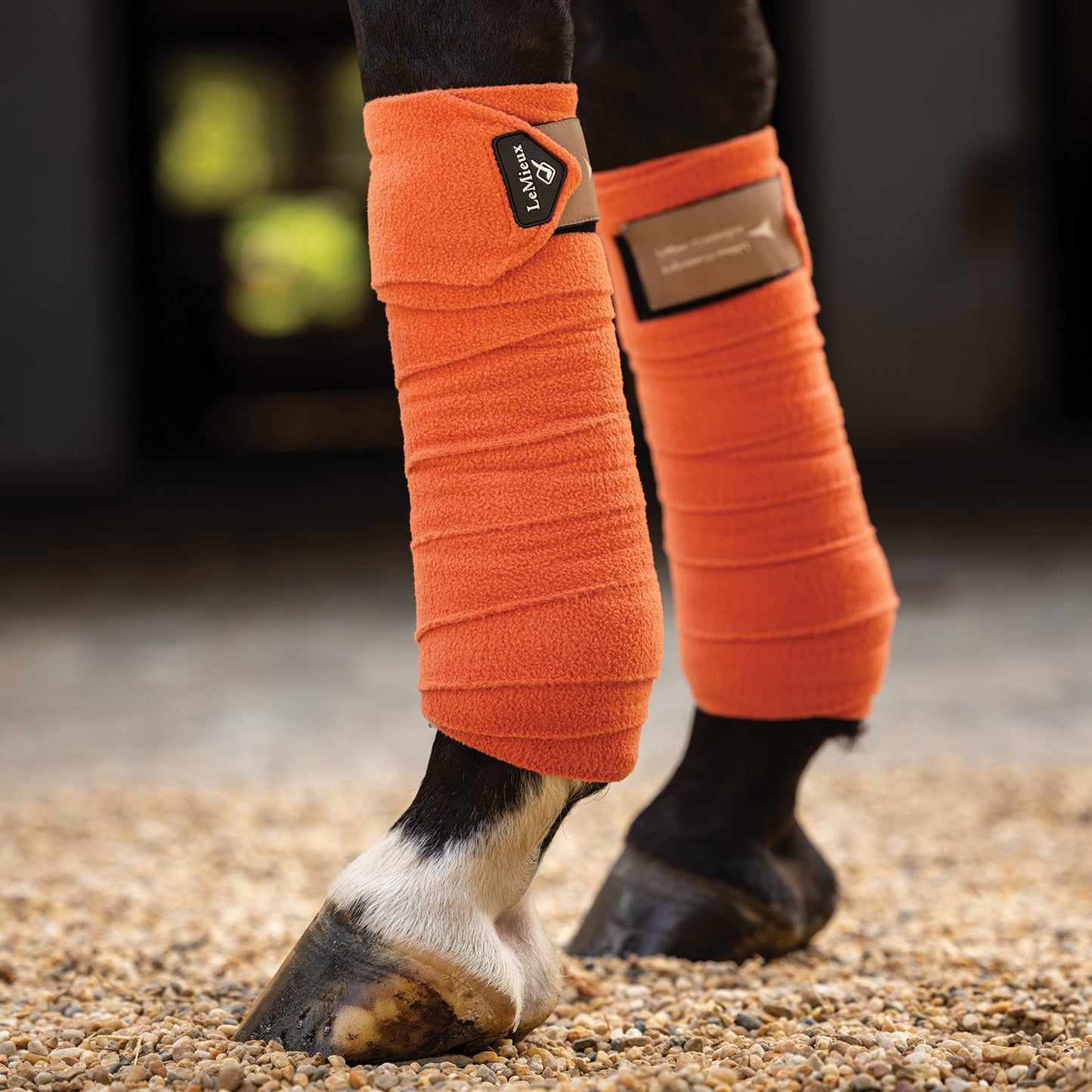 LeMieux Classique Polo Wraps