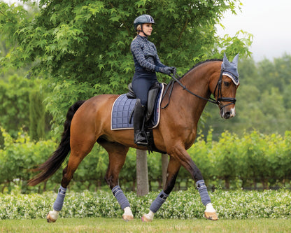 LeMieux Loire Polo Wraps