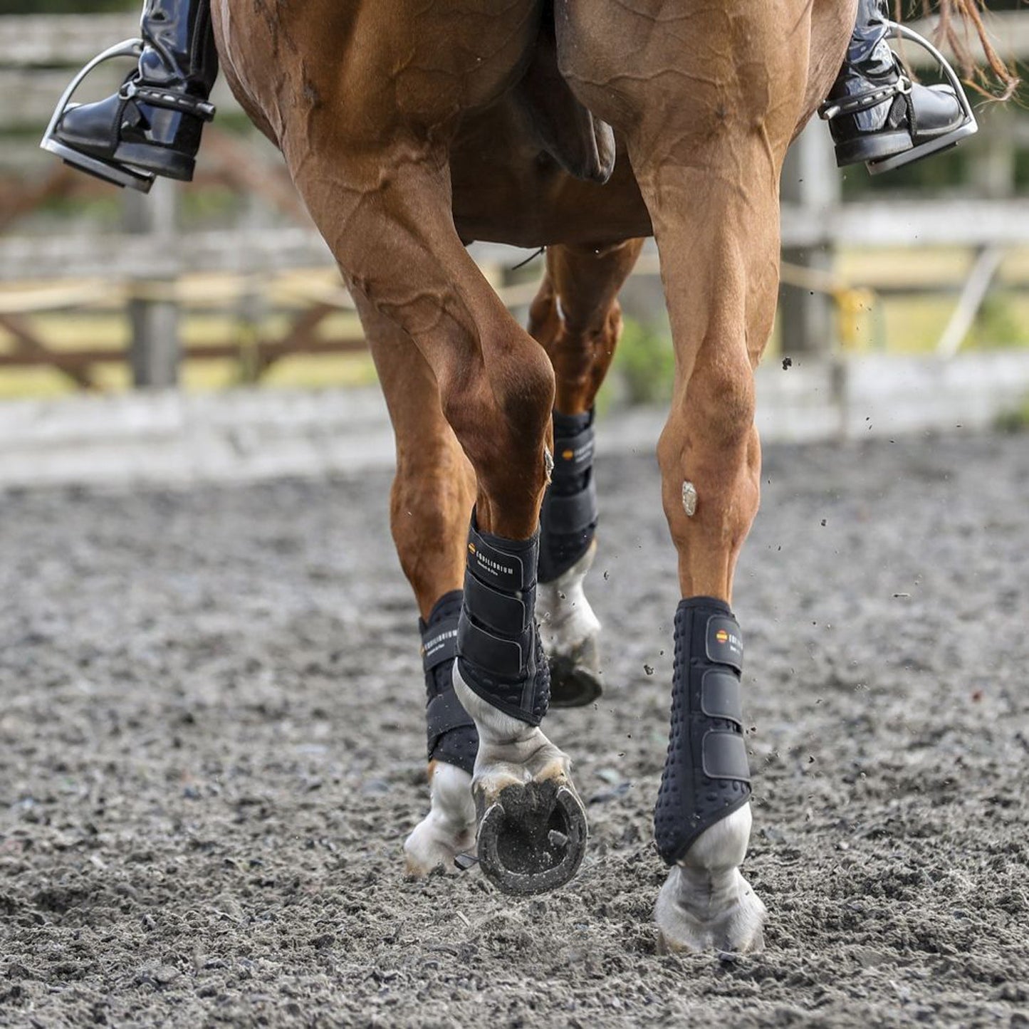 Equilibrium Stretch & Flex Flatwork Wraps