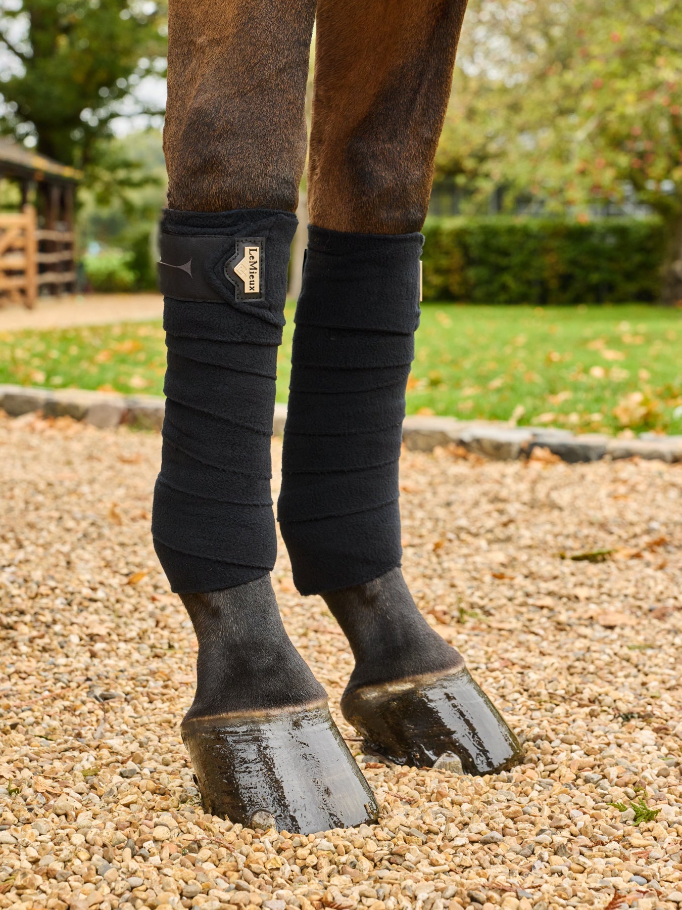 LeMieux Elevate Polo Wraps