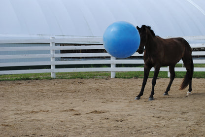 Jolly Mega Ball