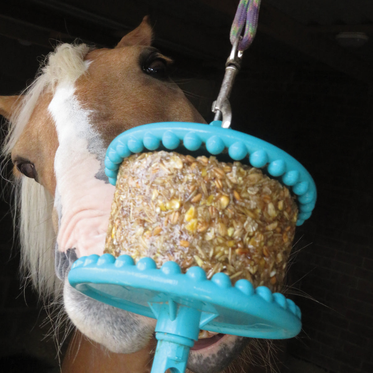 Likit Holder