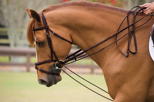 Walsh Rope Front Draw Reins