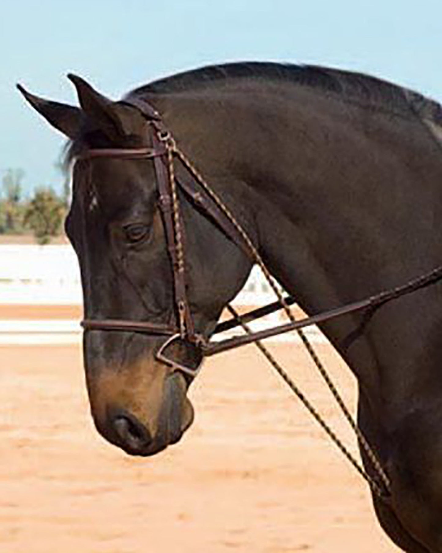 Camelot Chambon