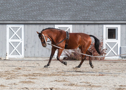 Suffolk Side Reins with Elastic