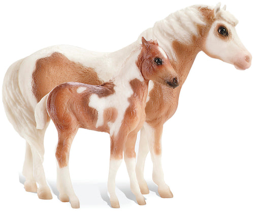 Breyer Misty & Stormy Models & Book Set