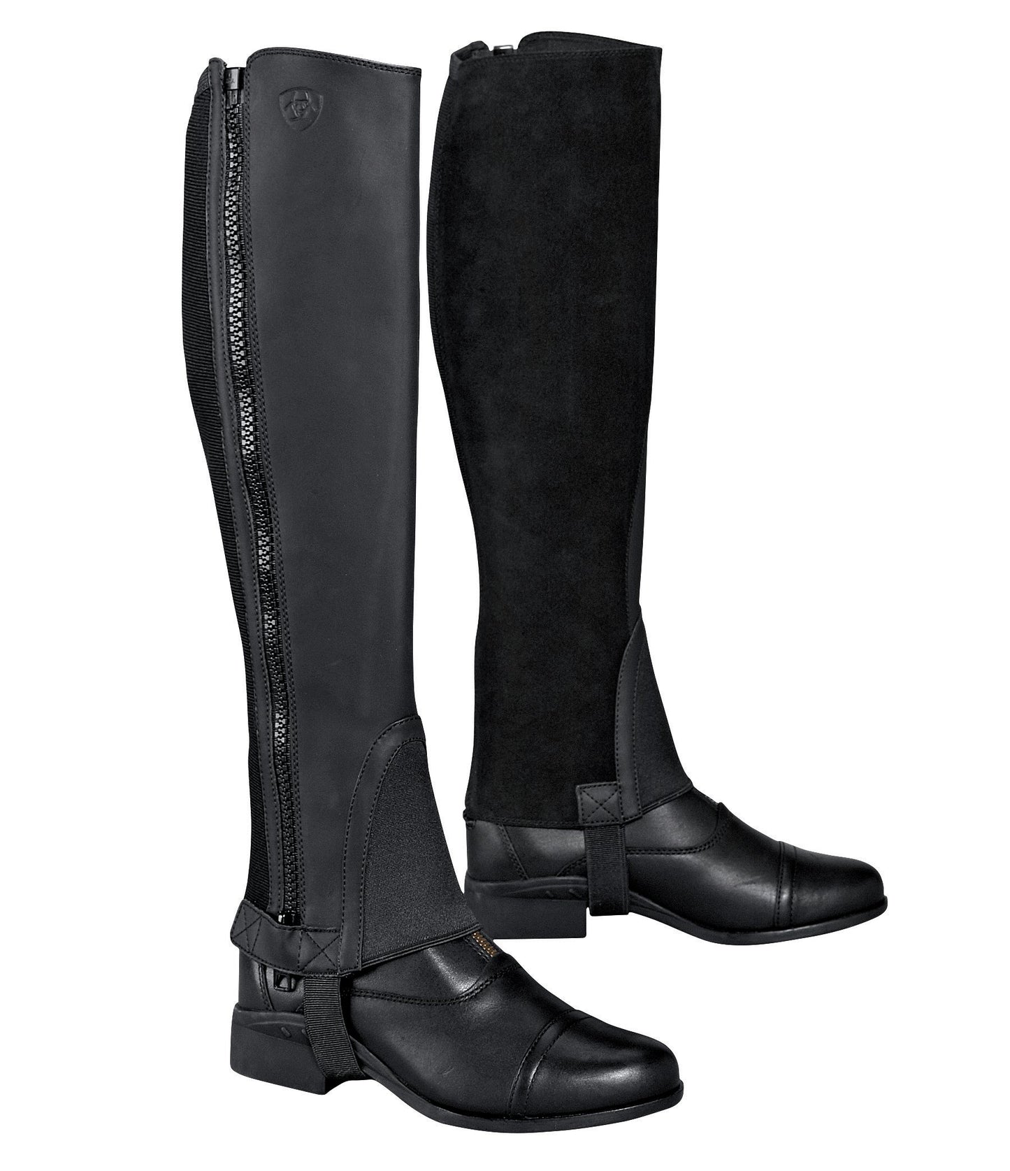 Ariat Scout Half Chap