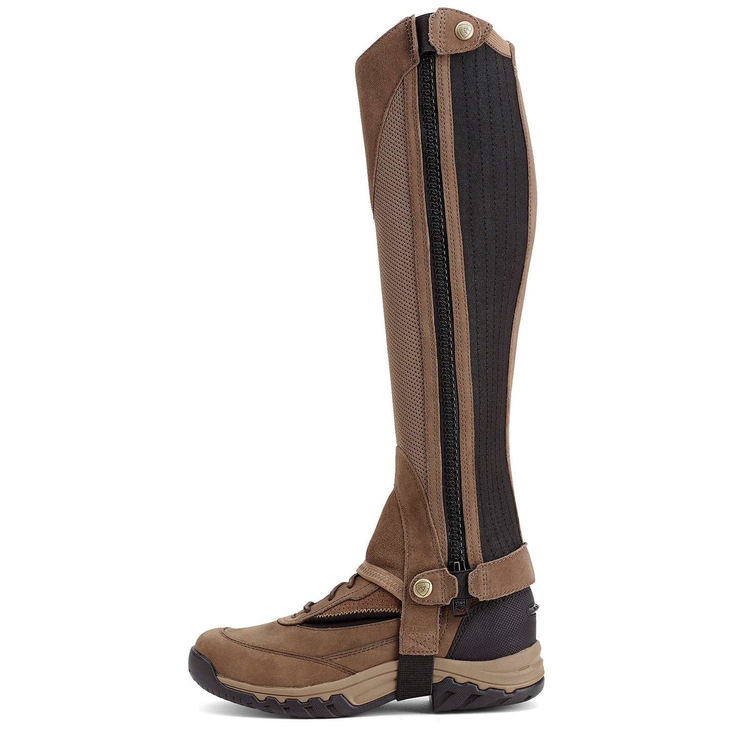 Ariat Terrain II Half Chap