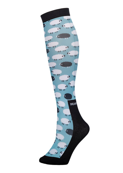 Dreamers and Schemers Pair and a Spare Socks