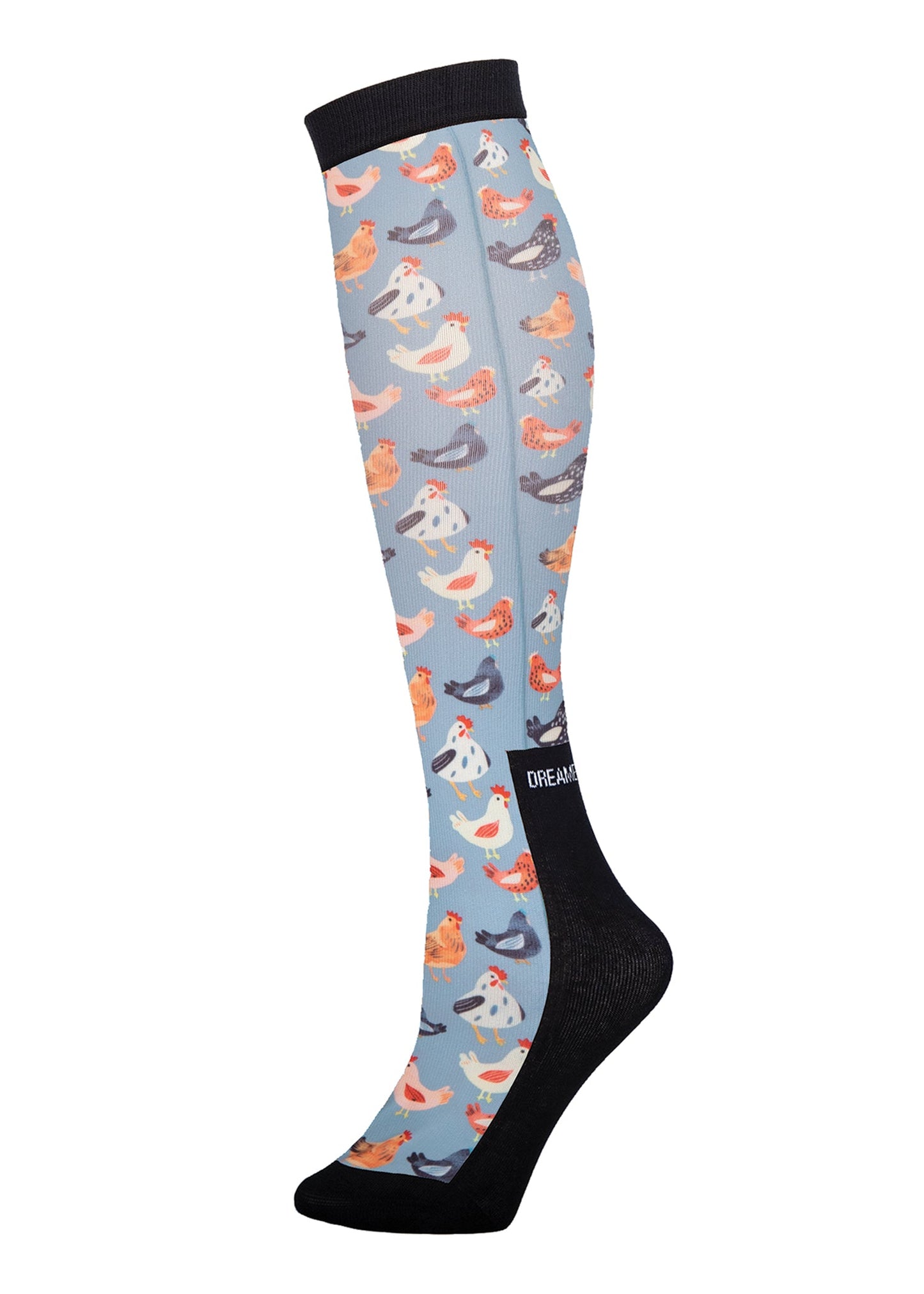 Dreamers and Schemers Pair and a Spare Socks