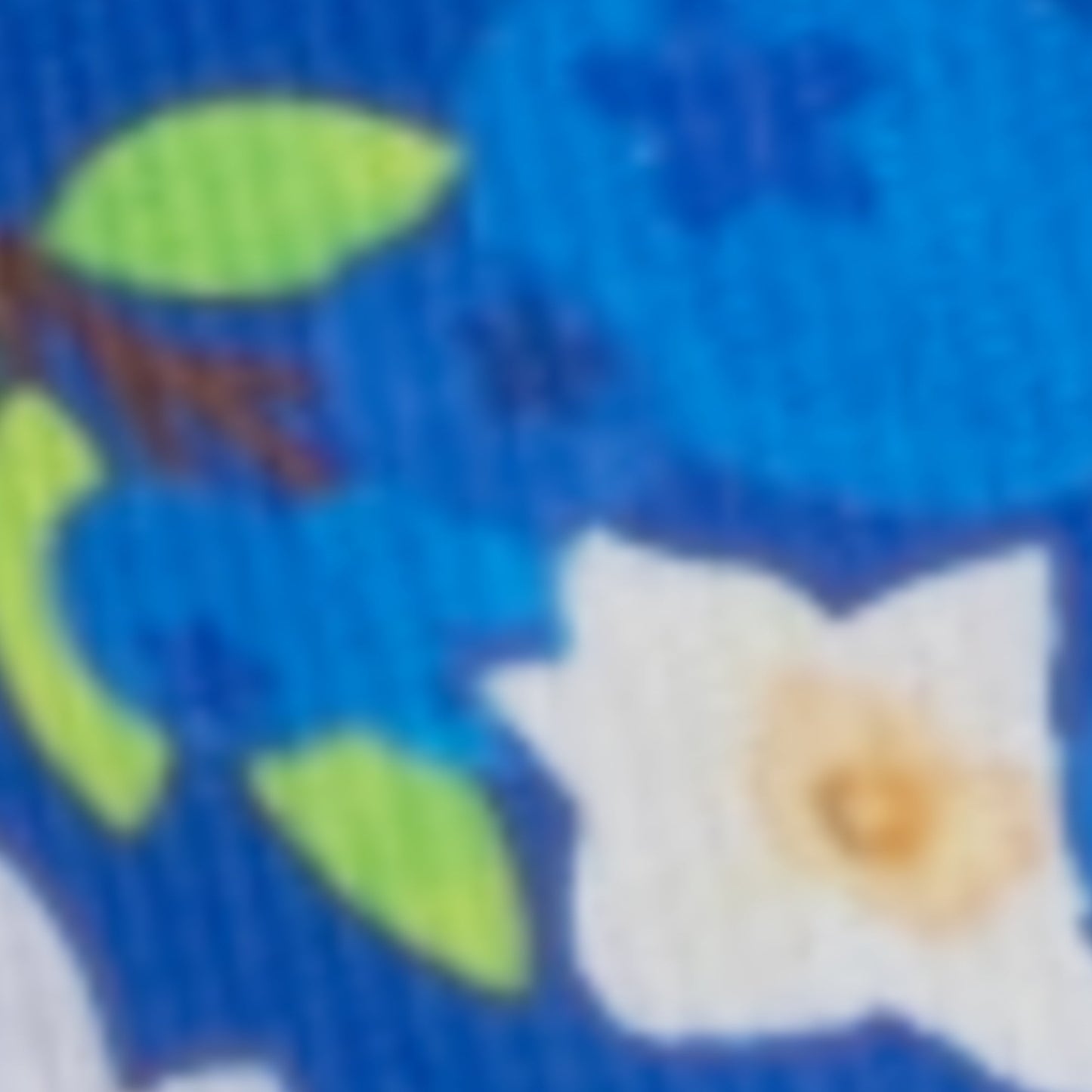 Dreamers and Schemers Pair and a Spare Socks