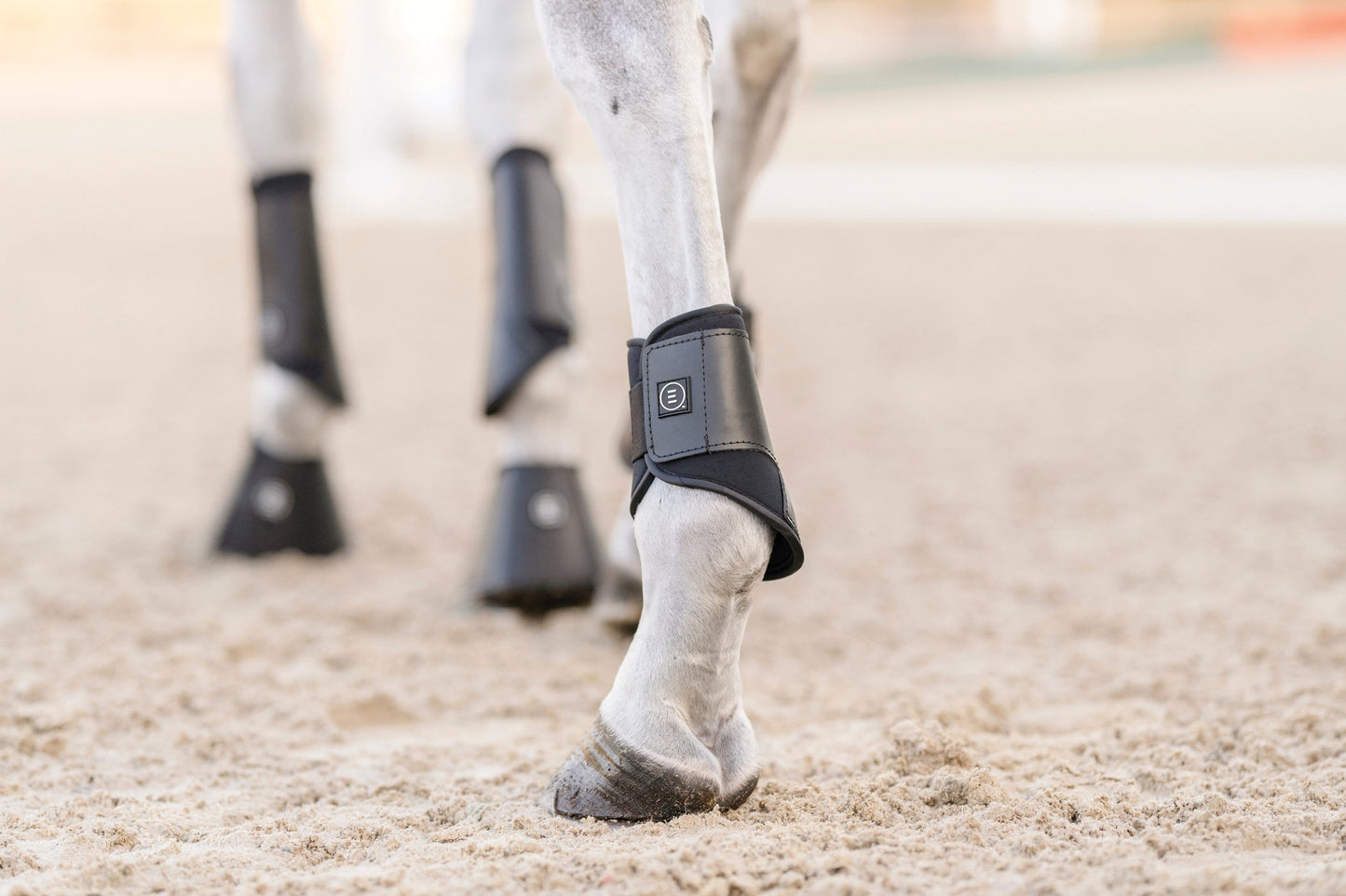 EquiFit Essential EveryDay Hind Boot