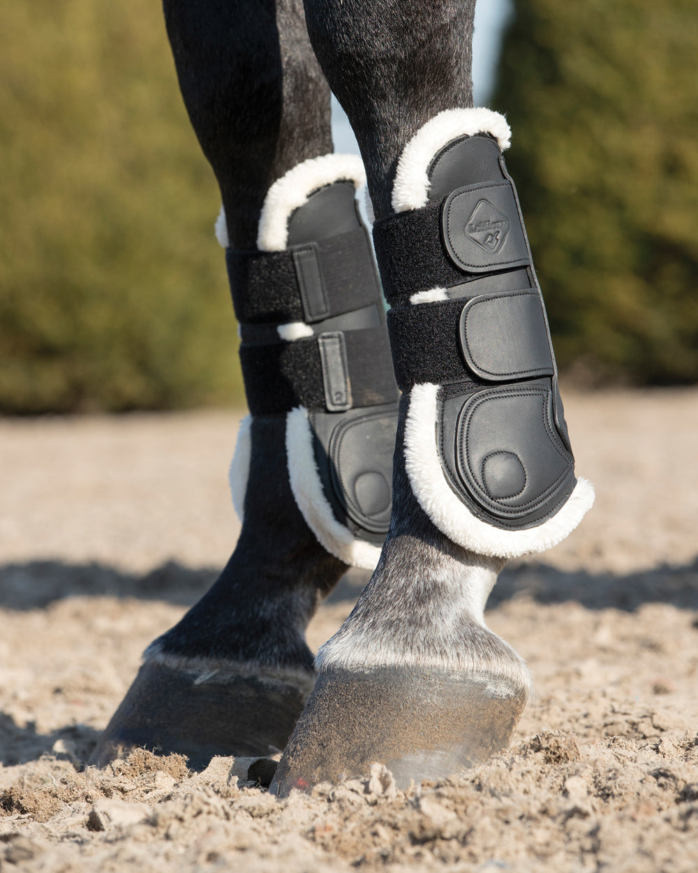 LeMieux Capella Comfort Tendon Boots