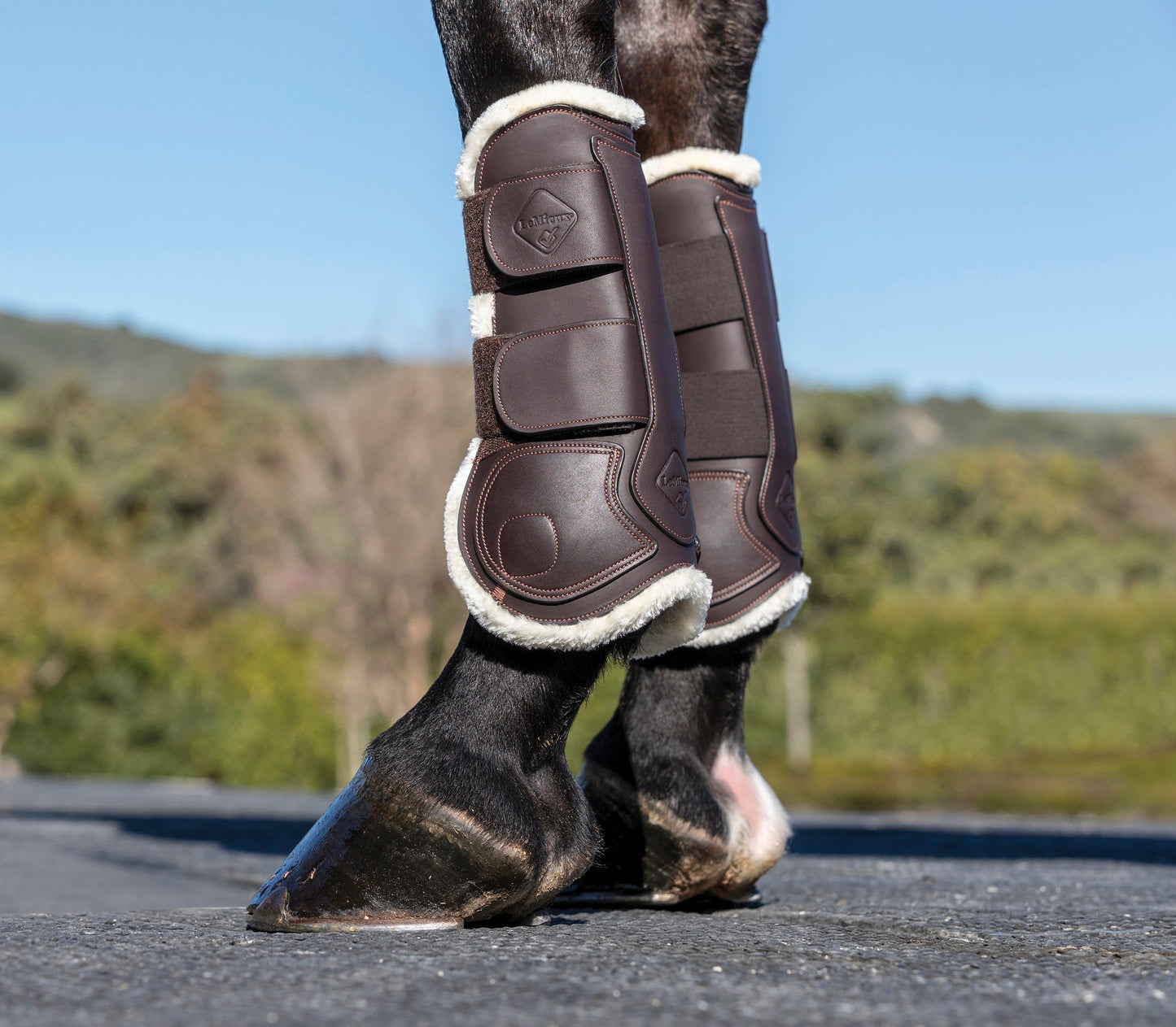 LeMieux Capella Comfort Tendon Boots