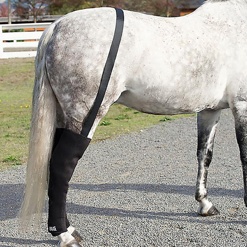Ice Horse Full Hind Leg Wrap Pair with Suspender Strap
