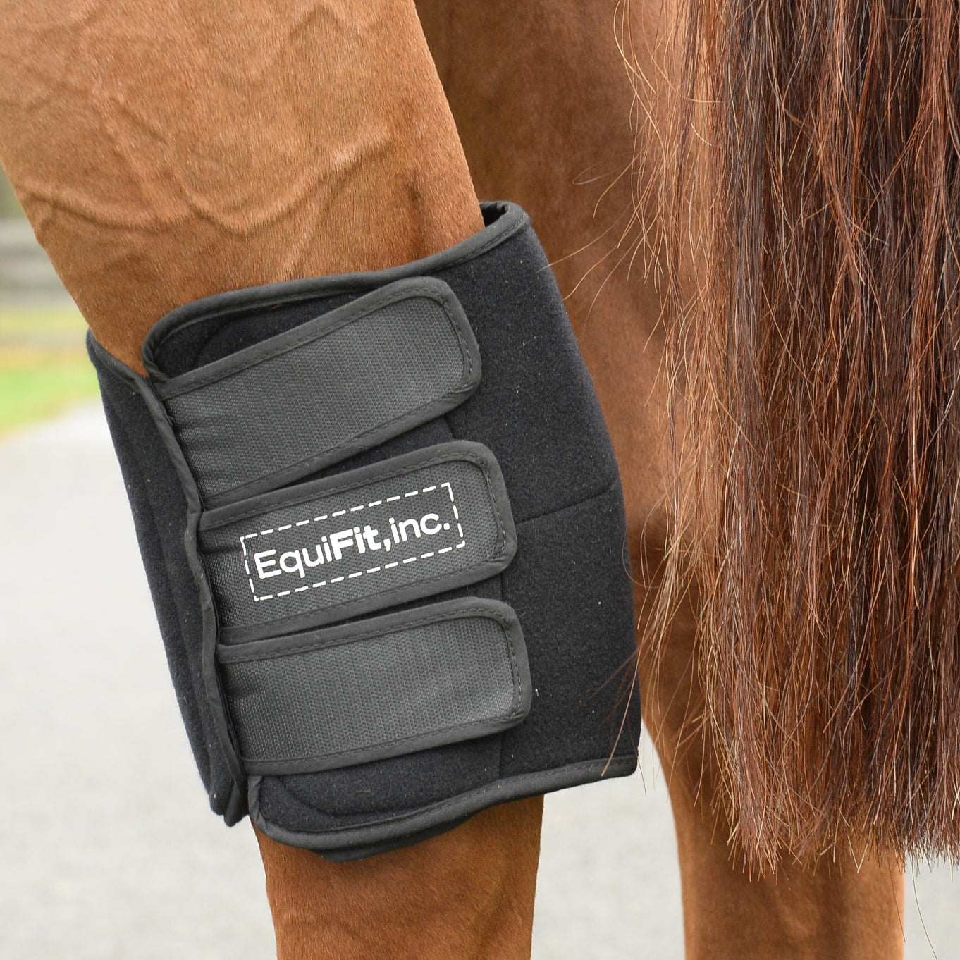 EquiFit GelCompression HockBoots