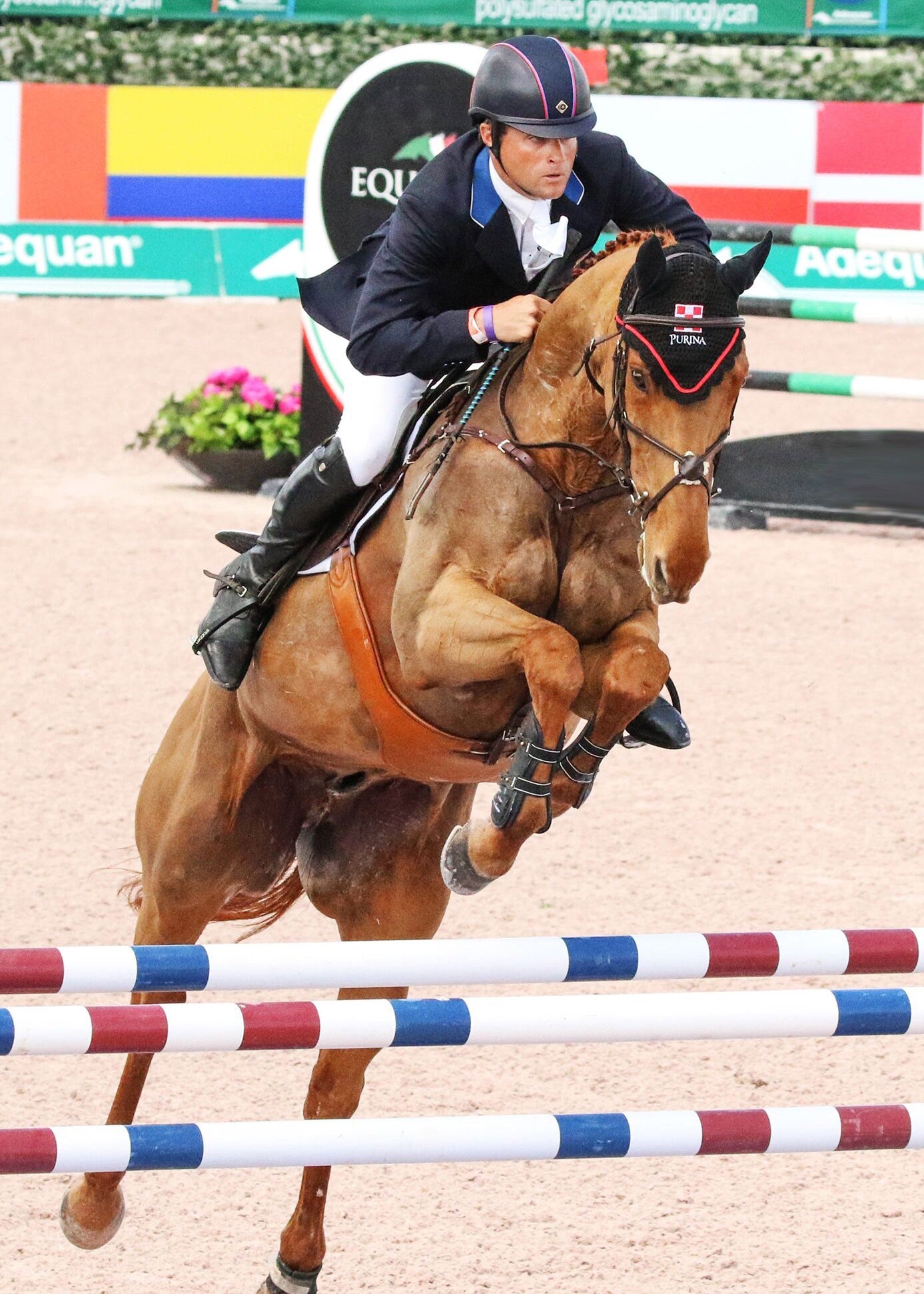 Majyk Equipe Boyd Martin Stadium Tendon Jump Boot with Arti-Lage Technology