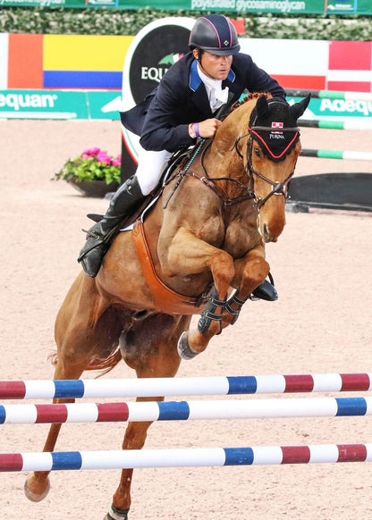 Majyk Equipe Boyd Martin Stadium Tendon Jump Boot with Arti-Lage Technology