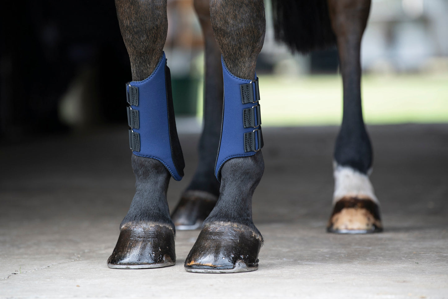 Rider’s International All-Purpose Galloping Boots