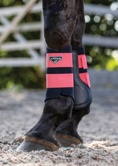 LeMieux Grafter Brushing Boots