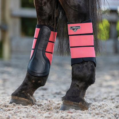 LeMieux Grafter Brushing Boots