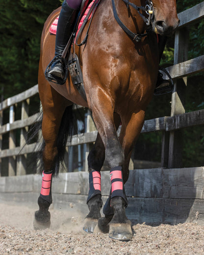 LeMieux Grafter Brushing Boots