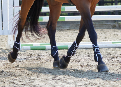 Stride Open-Front Tendon Boots