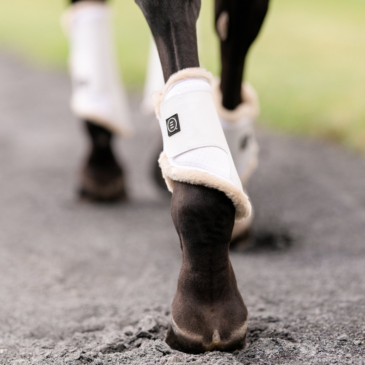 EquiFit Essential EveryDay Hind Boots, Vegan SheepsWool
