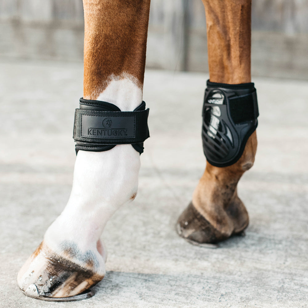 Kentucky Horsewear Young Horse Fetlock Boots