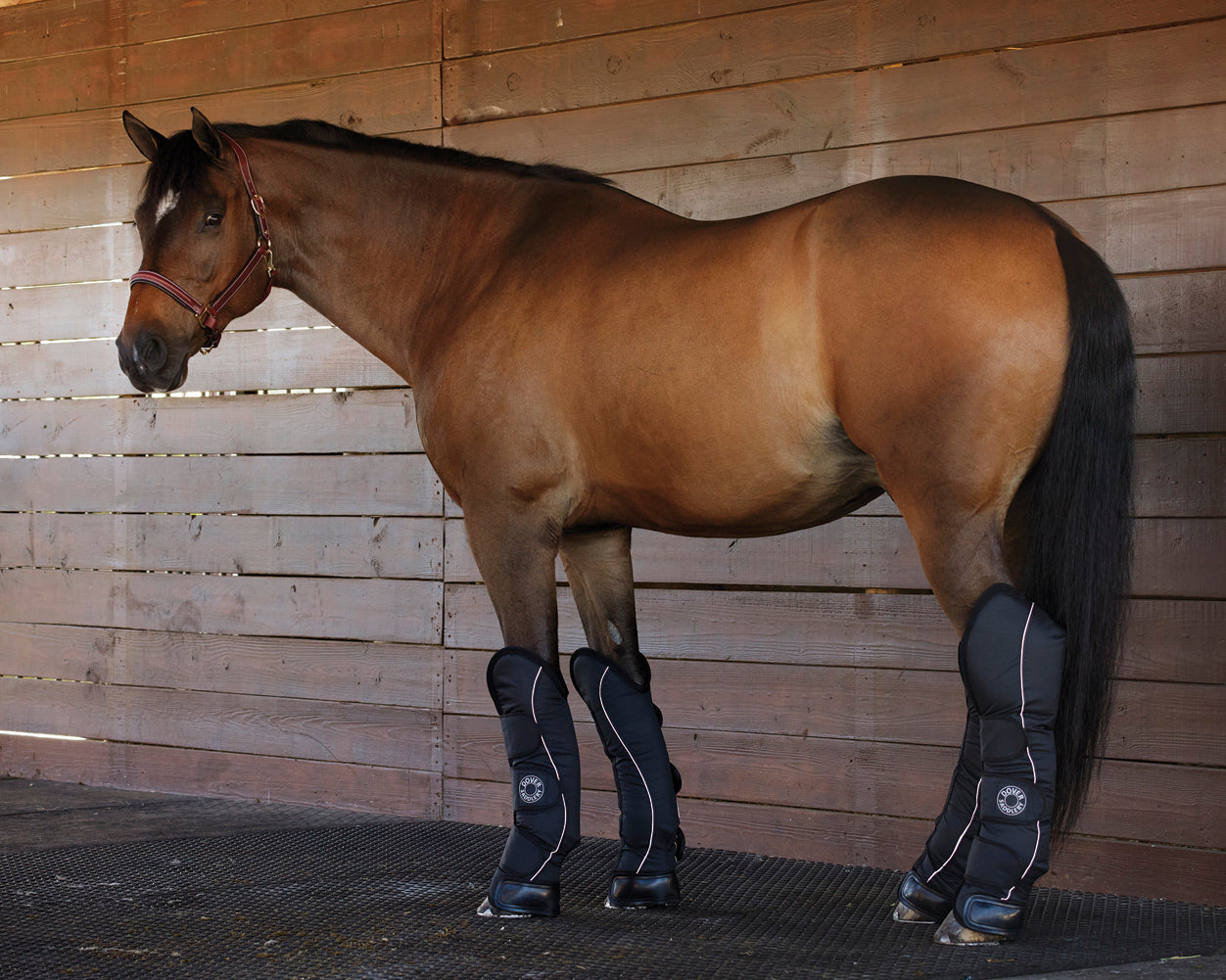 Rider’s International Shipping Boot Set