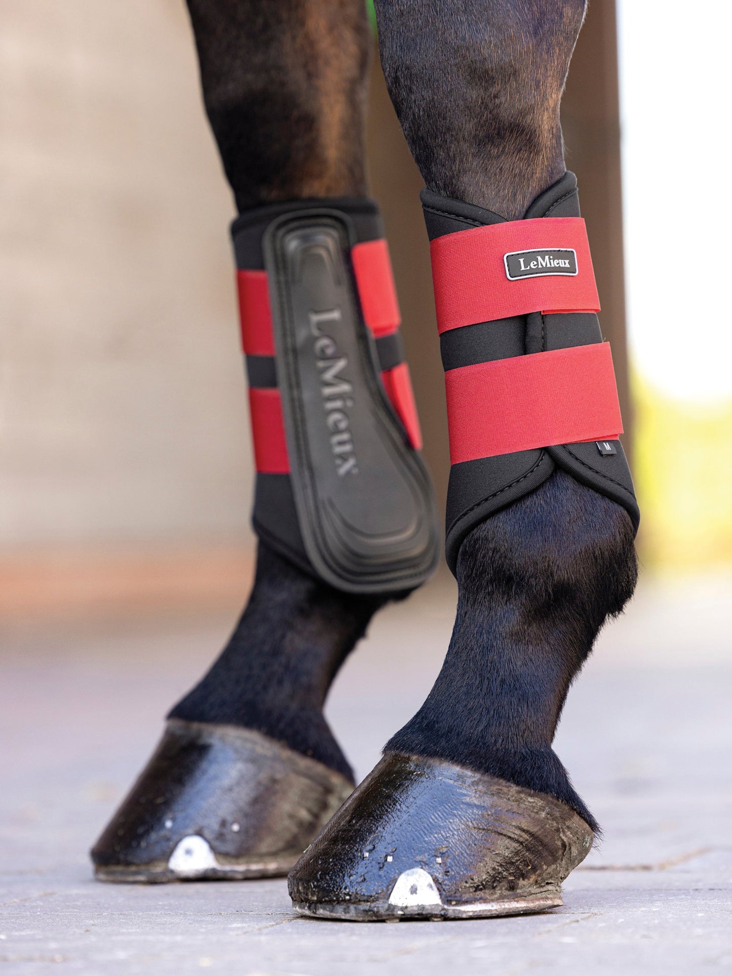 LeMieux Grafter Brushing Boots